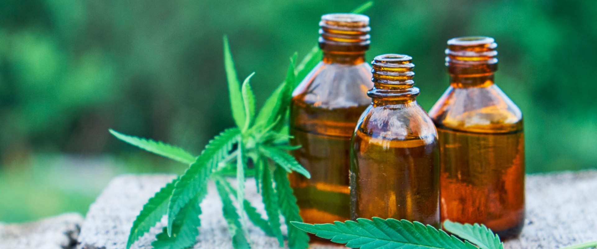Can cbd oil make you gain weight?