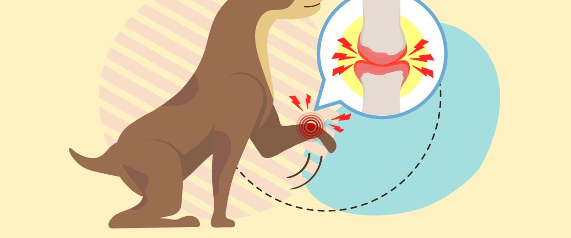 Where to buy cbd oil for dogs with arthritis?