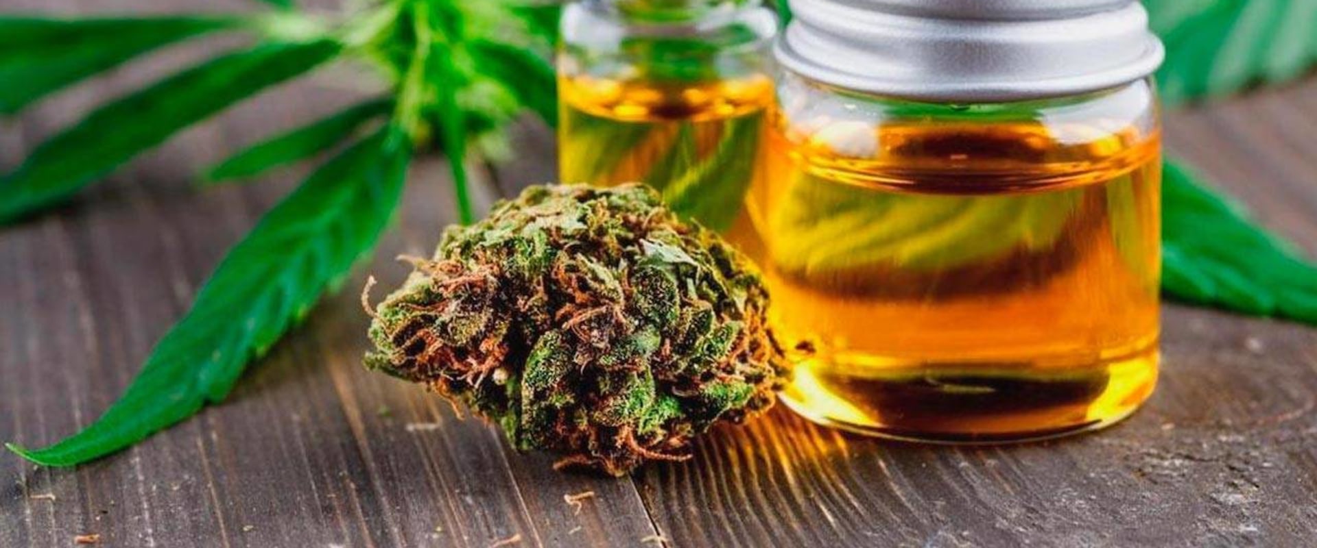 Where cbd oil?