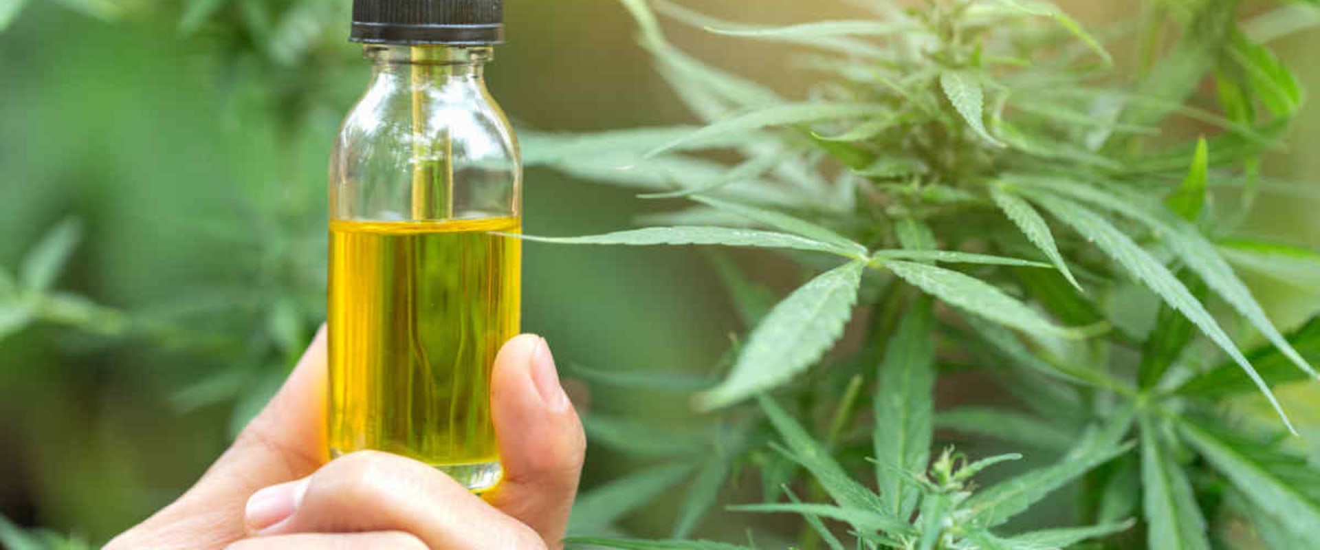 Why is weed still tested for?
