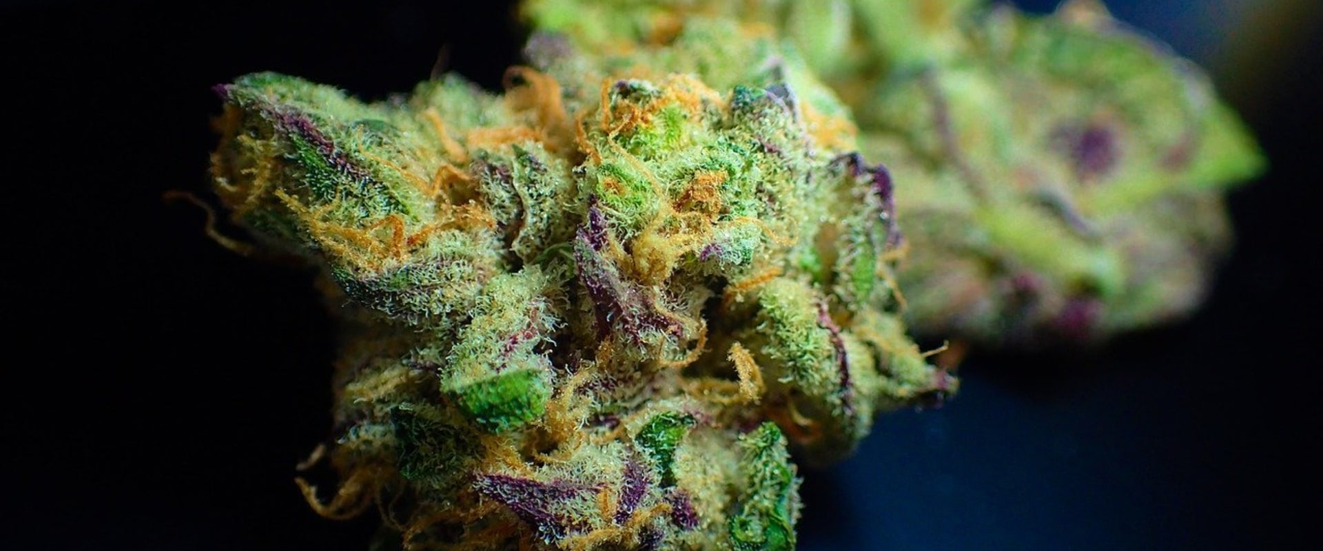 What is cbd flower benefits?