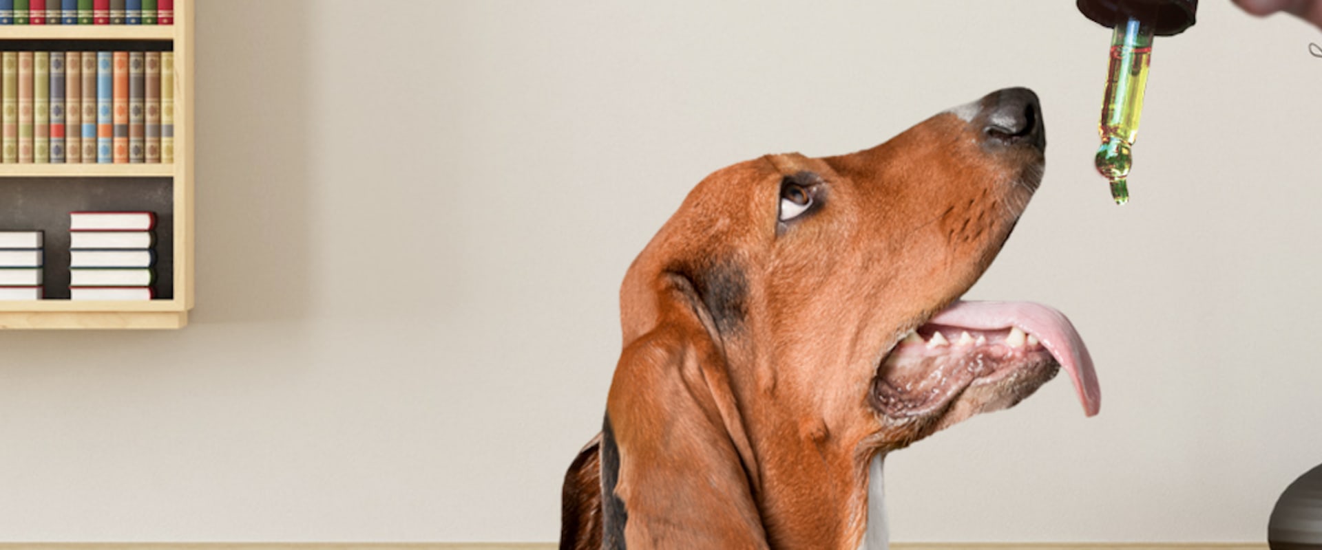 Is there a special cbd oil for pets?