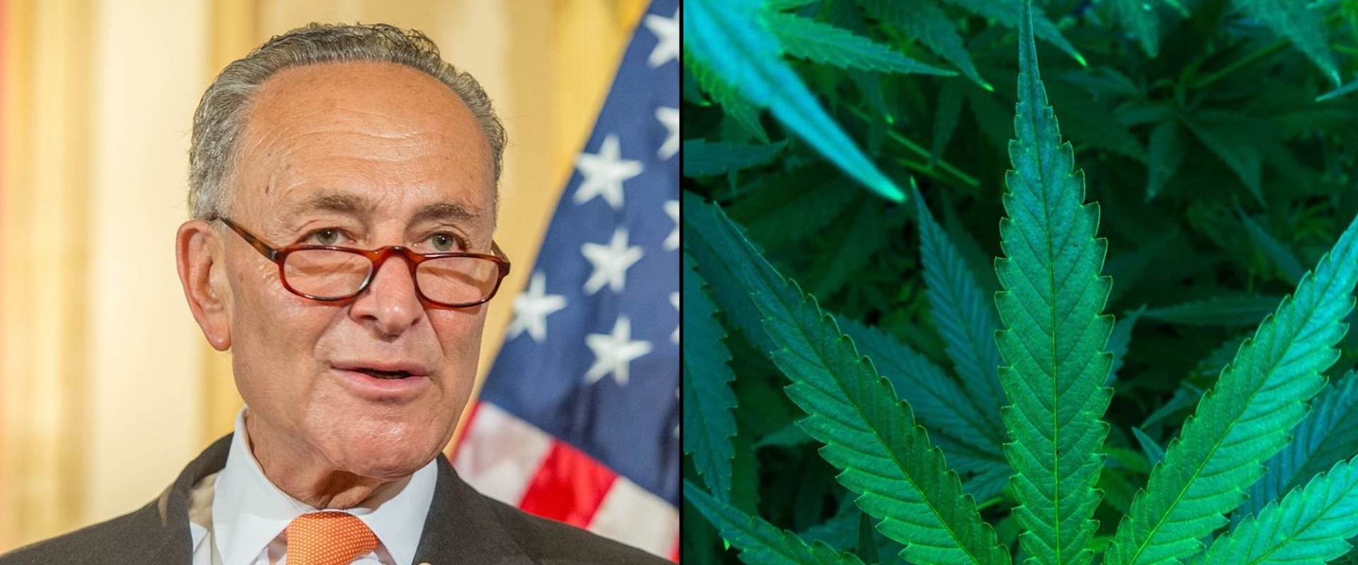 Weed laws news?