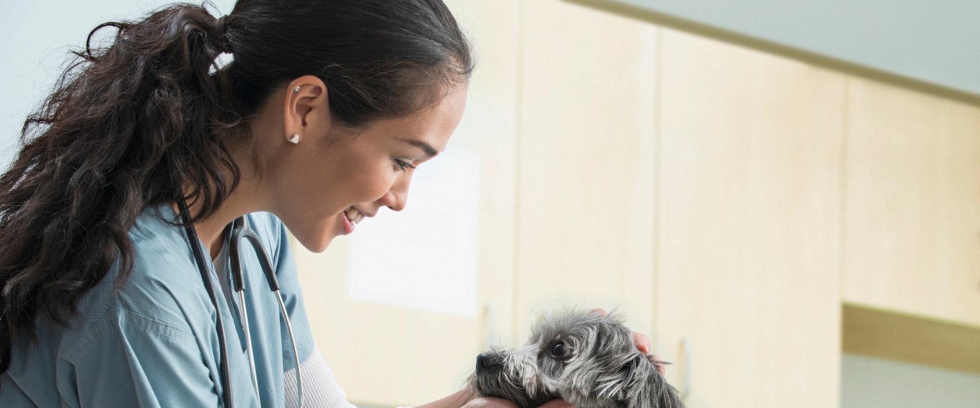 Can veterinarians recommend cbd?