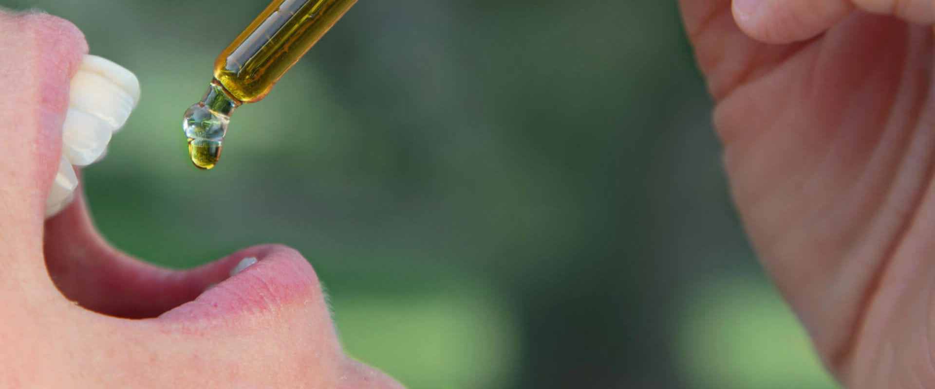 How is cbd best absorbed?